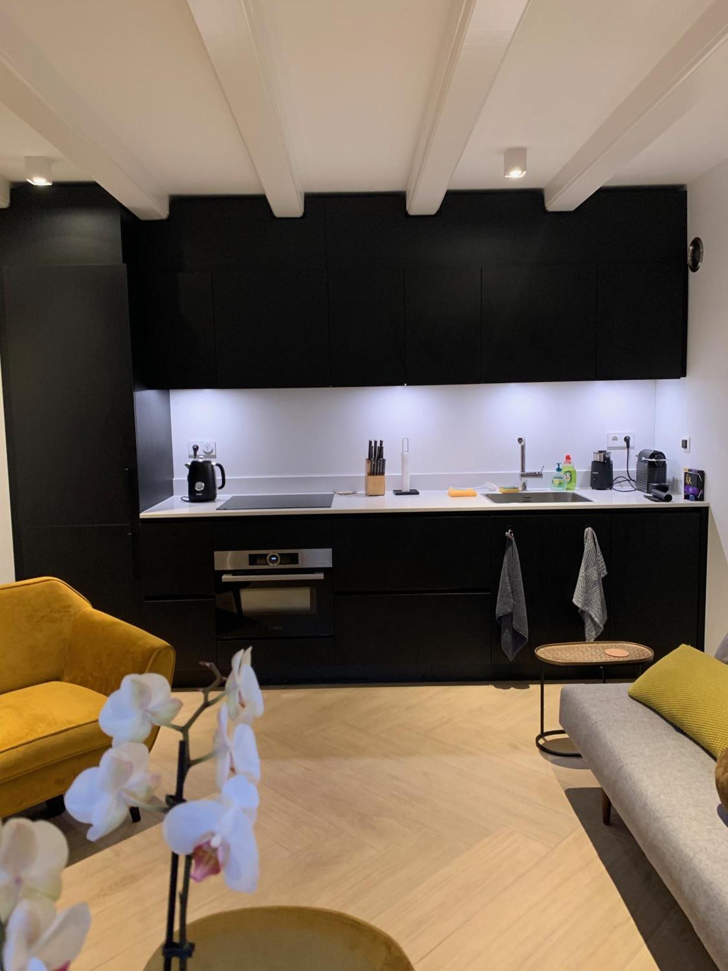 הארלם B&B Florapark מראה חיצוני תמונה